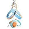 0453113E30B77FCAE11707B0C78F8D0B.jpeg Dog leash chest strap vest