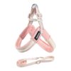 15B20BF891CCE83ED3B86A13461DFD91.jpeg Dog leash chest strap vest