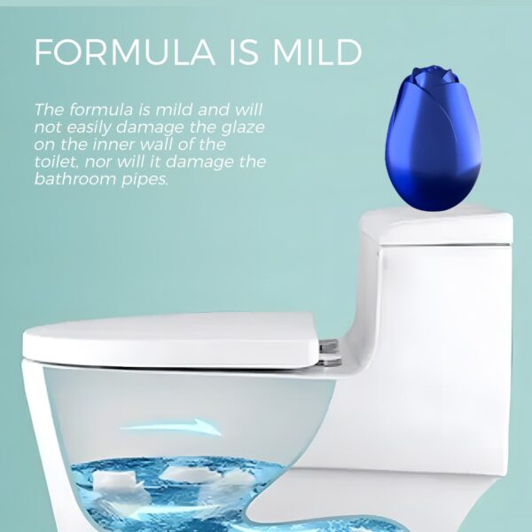 Household Bathroom Toilet Decontamination