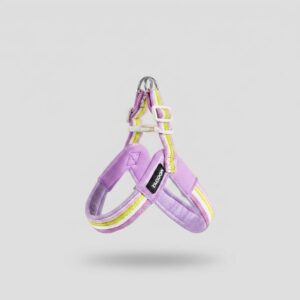 Dog-leash-chest-strap-vest-style-small-and-medium-sized-dog-2.jpeg Dog leash chest strap vest
