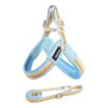 F008CE2D07D860466B544820FB265E7B.jpeg Dog leash chest strap vest
